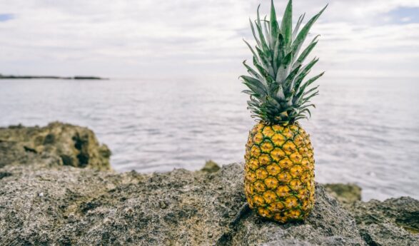 13 Benefits of pineapple for better health