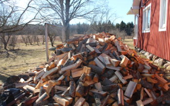 The firewood, nice weather and gardening have arrived